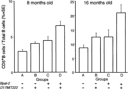 Fig. 4. ANOVA among groups classified by combined genotyping. (NZW x B10.NZW) F1 x B10.NZW backcross mice were subdivided into four groups (A to D) according to combined genotyping of loci,D13MIT136 (Bpal-2) and D17MIT222. Symbol ‘+’, genotyped as NB (heterozygous for NZW and B10.NZW) and ‘−’, genotyped as BB (homozygous for B10.NZW). P values of post hoc test (Fisher’s Protected Least Significant Difference test) were as follows: at 8 months old; A versus C, P < .05; A versus D, P < .0001; B versus D, P < .0001; C versus D, P < .005; at 16 months old; A versus D, P< .0005; B versus D, P < .005; C versus D, P < .05.