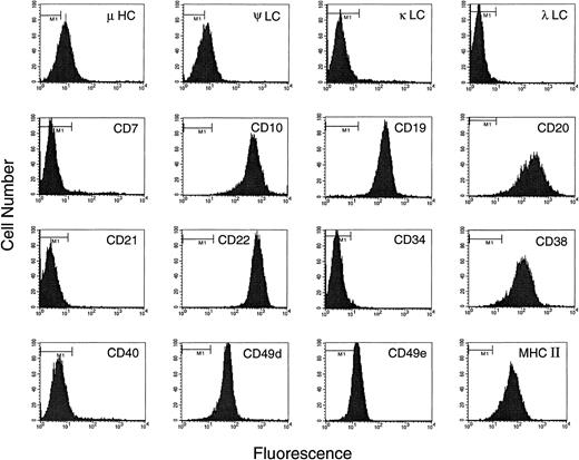 Fig. 1. Immunophenotype of BLIN-2. Background staining using isotype-matched myeloma proteins as negative controls is shown by the horizontal bar in the upper left part of each histogram.