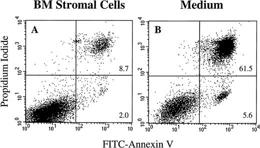 Fig. 8. Annexin V/propidium iodide dual staining of BLIN-2 cells cultured in the presence (A) or absence (B) of BM stromal cells for 4 days. BLIN-2/stromal cell cultures were gently shaken to displace BLIN-2 from the stromal cells. These stromal cell-displaced BLIN-2 cells and BLIN-2 cells in medium alone were then stained with propidium iodide and FITC-conjugated Annexin V. The numbers represent the percentage of propidium iodide+/Annexin V+or propidium iodide−/Annexin V+ cells as a function of total cells analyzed.