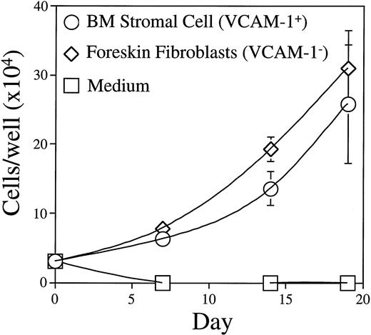Fig. 9. Growth of BLIN-2 on VCAM-1+ BM stromal cells or VCAM-1− foreskin fibroblasts. BLIN-2 growth was quantified on days 7, 14, and 19. Each symbol represents the mean ± SD of triplicate wells. This experiment is representative of eight similar experiments.