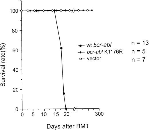 Fig. 2. Survival of recipient mice after transplantation of bone marrow cells that were infected with retroviruses containing various genes as indicated. The number of mice (n) used in the experiment for each retrovirus construct is indicated.