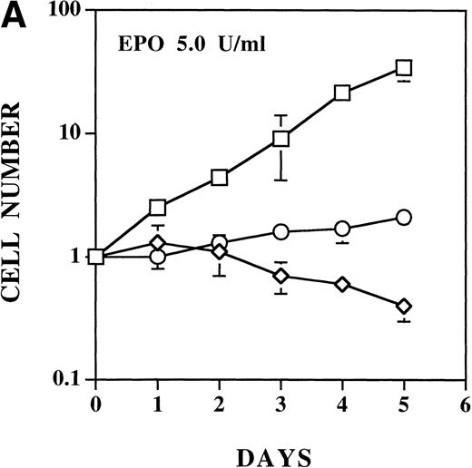 Fig. 4. EPO induces a dose-dependent increase in viability and proliferation of Ba/F3 cells with wild-type and ▵SH2 but not with ▵ABD EPO R/ABL. Cells were cultured with 5 U/mL EPO, and the total number (A) and percentage (B) of viable cells was enumerated using 0.04% Trypan blue staining. (□) Wild-type; (◊) ▵ABD; (○) ▵SH2.