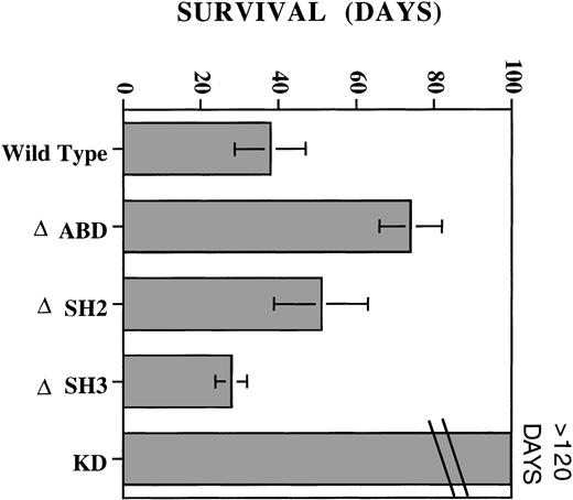Fig. 7. Induction of EPO-dependent leukemia in nude mice. On day 0, mice received either 5 × 106 wild-type, ▵ABD, ▵SH2, ▵SH3, or KD EPO R/ABL cells via tail-vein injection, followed by daily injections of EPO intraperitoneally. Three to six mice were included in each group, and the experiment was performed two or more times. The figure shows the mean ± SD of days of survival after injection. EPO alone or EPO with parental Ba/F3 cells was not associated with mortality of the mice.
