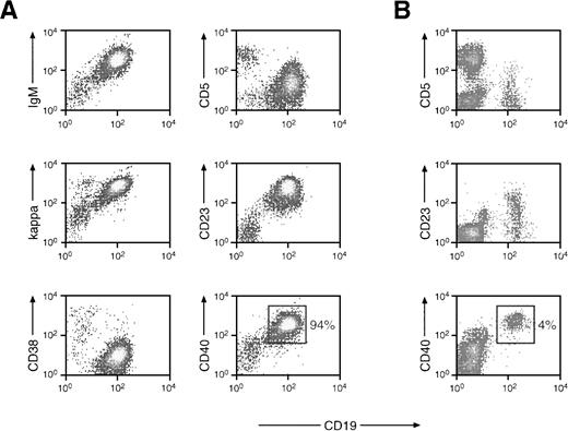 Fig. 1. The mononuclear blood cells of patient MZL-1 consist predominantly of malignant B lymphocytes. (A) Flow cytometric analysis of peripheral blood cells of patient MZL-1. Mononuclear cells from the blood of patient MZL-1 were analyzed by flow cytometry using a FITC-conjugated anti-CD19 (HD37) antibody in combination with a PE-labeled anti-CD5 (DK23) antibody or with unlabeled anti-IgM (AF6), anti-κ (6E1), anti-CD23 (9P25), anti-CD38 (HB-7), and anti-CD40 (MoAb89) antibodies. The unlabeled MoAbs were visualized by indirect staining with a secondary PE-conjugated goat antimouse antibody. (B) Flow cytometric analysis of peripheral mononuclear cells of a normal individual. The percentage of CD40+ B lymphocytes is indicated.