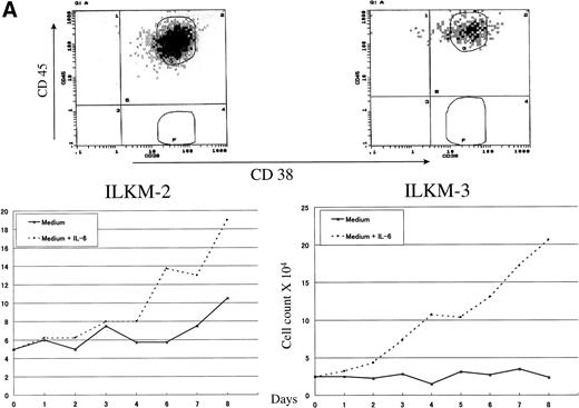 Fig. 1. CD45 was heterogeneously expressed on myeloma cells and correlated with IL-6 dependency. (A) IL-6–dependent myeloma cell lines ILKM-2 and ILKM-3 were stained for 30 minutes by PE-Cy5-CD45 (forward scatter) and FITC-38 (side scatter) and analyzed by cell sorter (top panels), and growth curves are shown of the cells cultured in medium alone (solid lines) or in the presence of IL-6 (2 ng/mL; dotted lines) for the indicated period of time (bottom panels). (B) CD45 expression (top) and growth curves (bottom) of the IL-6–independent cell lines KMS-5 and U-266.