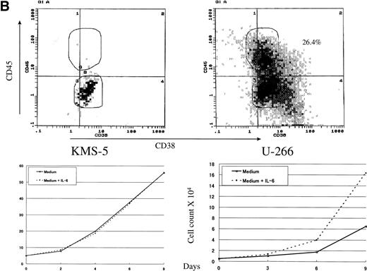 Fig. 1. CD45 was heterogeneously expressed on myeloma cells and correlated with IL-6 dependency. (A) IL-6–dependent myeloma cell lines ILKM-2 and ILKM-3 were stained for 30 minutes by PE-Cy5-CD45 (forward scatter) and FITC-38 (side scatter) and analyzed by cell sorter (top panels), and growth curves are shown of the cells cultured in medium alone (solid lines) or in the presence of IL-6 (2 ng/mL; dotted lines) for the indicated period of time (bottom panels). (B) CD45 expression (top) and growth curves (bottom) of the IL-6–independent cell lines KMS-5 and U-266.