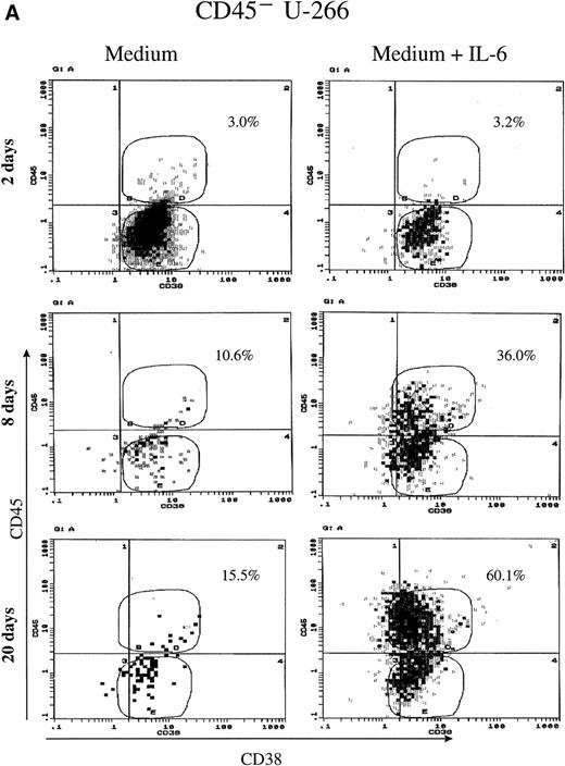 Fig. 2. CD45 expression was induced by IL-6 and lost on its withdrawal. (A) Flow-sorted CD45− U-266 cells were cultured in medium alone (left) or in medium + IL-6 (2 ng/mL; right), and cells were analyzed by flow cytometry after staining with PE-Cy5-CD45 and FITC-CD38. The percentage of CD45+ cells is indicated on each flow cytogram. (B) CD45−IL-6–independent KMS-5 cells were cultured with or without exogenous IL-6 (2 ng/mL) and analyzed after staining by PE-Cy5-CD45 and FITC-CD38. (C) RT-PCR analysis of β-actin, CD45, and IL-6 of CD45− U-266 cells cultured with IL-6. Lane M, ◊ X174/Hae III digest DNA size marker; lane 1, negative control without RT product; lanes 2, 3, 4, 5, and 6, IL-6–treated CD45− cells at day 0, 2, 4, 6, and 8, respectively; lane 7, CD45+ U-266 cells. (D) Flow-sorted CD45+ U-266 cells were incubated in medium without IL-6. Cells were stained with PE-CD45 and FITC-CD38 and subjected to flow cytometric analysis as described in Materials and Methods. The percentage of CD45+ cells is indicated on each flow cytogram. (E) Flow-sorted CD45+ U-266 cells were cultured without exogenous IL-6 for 2 weeks (left), and only CD45+ fraction was sorted out and incubated with or without IL-6 (2 ng/mL) for another 2 weeks (middle). Both CD45+ and CD45− fractions were separately sorted out and cultured for 5 days with and without IL-6 (right). The percentages of both CD45+ and CD45− fractions are indicated on each flow cytogram.