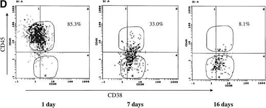 Fig. 2. CD45 expression was induced by IL-6 and lost on its withdrawal. (A) Flow-sorted CD45− U-266 cells were cultured in medium alone (left) or in medium + IL-6 (2 ng/mL; right), and cells were analyzed by flow cytometry after staining with PE-Cy5-CD45 and FITC-CD38. The percentage of CD45+ cells is indicated on each flow cytogram. (B) CD45−IL-6–independent KMS-5 cells were cultured with or without exogenous IL-6 (2 ng/mL) and analyzed after staining by PE-Cy5-CD45 and FITC-CD38. (C) RT-PCR analysis of β-actin, CD45, and IL-6 of CD45− U-266 cells cultured with IL-6. Lane M, ◊ X174/Hae III digest DNA size marker; lane 1, negative control without RT product; lanes 2, 3, 4, 5, and 6, IL-6–treated CD45− cells at day 0, 2, 4, 6, and 8, respectively; lane 7, CD45+ U-266 cells. (D) Flow-sorted CD45+ U-266 cells were incubated in medium without IL-6. Cells were stained with PE-CD45 and FITC-CD38 and subjected to flow cytometric analysis as described in Materials and Methods. The percentage of CD45+ cells is indicated on each flow cytogram. (E) Flow-sorted CD45+ U-266 cells were cultured without exogenous IL-6 for 2 weeks (left), and only CD45+ fraction was sorted out and incubated with or without IL-6 (2 ng/mL) for another 2 weeks (middle). Both CD45+ and CD45− fractions were separately sorted out and cultured for 5 days with and without IL-6 (right). The percentages of both CD45+ and CD45− fractions are indicated on each flow cytogram.