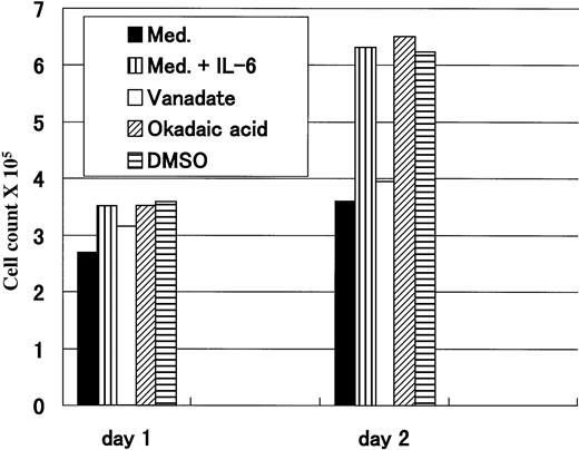 Fig. 5. IL-6–induced proliferation was abrogated by vanadate. Flow-sorted CD45+ U-266 cells were cultured in medium alone; in medium +IL-6 (2 ng/mL); or in medium + IL-6 + either 50 μmol/L Na3VO4; 10 ng/mL okadaic acid; or DMSO. Cell counts were performed after 1 and 2 days after treatment. Only vanadate could abrogate IL-6–induced proliferation after 2 days.