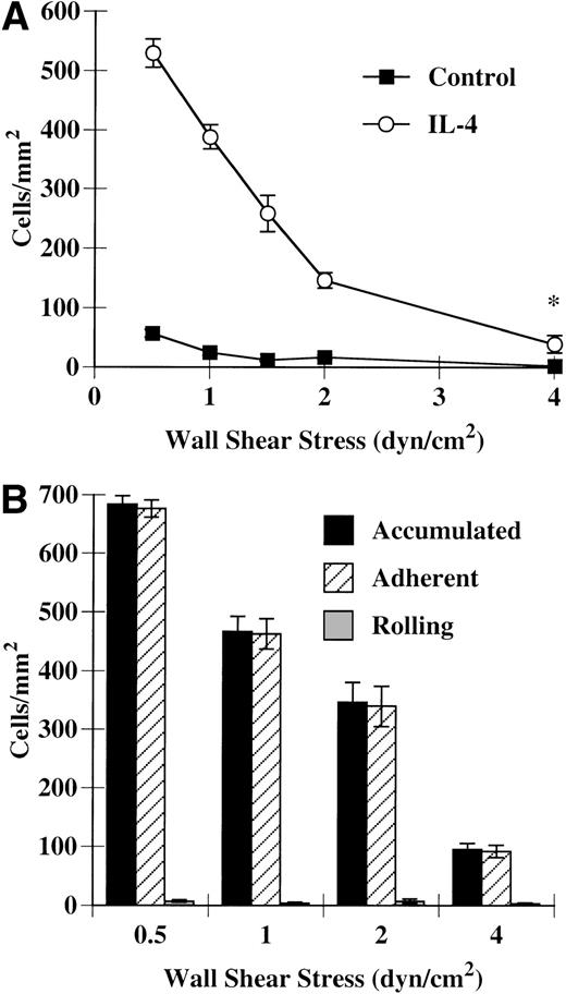 Fig. 1. Eosinophil accumulation on IL-4–stimulated HUVECs. Confluent monolayers of primary HUVECs were washed once with HBSS and then stimulated with either M199/A alone (control) or M199/A containing 20 ng/mL IL-4 (IL-4). After 24 hours at 37°C, the monolayers were washed with HBSS and assembled in the flow chamber. Purified eosinophils (5 × 105/mL) were perfused over the monolayers at the specified shear stresses and eosinophil accumulation (A), rolling, and adhesion (B) were determined. The data represent the mean and SEM of at least three independent experiments. *P ≤ .05.