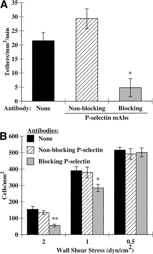 Fig. 3. P-selectin participates in eosinophil accumulation and tethering to IL-4–stimulated HUVECs. Monolayers of HUVECs were treated as described in Fig 1. Before assembly of the flow chamber, HUVECs were treated for 10 minutes at 37°C with HBSS/A alone or HBSS/A containing 5 μg/mL of either a nonblocking (S12) or blocking (G1) MoAb directed against P-selectin. The flow chamber was assembled and eosinophils also containing the specified MoAb were perfused through the chamber. (A) Tethering of eosinophils was determined at 2 dyn/cm2, as described in Materials and Methods. (B) Accumulation of eosinophils was determined at the specified wall shear stresses as described in Materials and Methods. The data represent the mean and SEM of at least three independent experiments. *P ≤ .05; **P ≤ .0001.