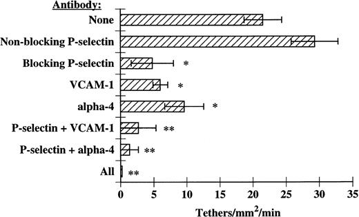 Fig. 6. P-selectin, VCAM-1, and 4-integrins together mediate eosinophil tethering on IL-4–stimulated HUVECs. Monolayers of HUVECs were treated as described in Fig 1. Before assembly of the flow chamber, HUVECs were treated for 10 minutes at 37°C with HBSS/A alone; HBSS/A containing 5 μg/mL of 1.G11B1, an MoAb directed against VCAM-1; 5 μg/mL of either a nonblocking (S12) or blocking (G1) MoAb directed against P-selectin; or 5 μg/mL of both anti–VCAM-1 and G1 MoAbs. In some experiments, eosinophils were also pretreated for 10 minutes at 37°C with 2 μg/mL of H2/1, an anti–4-integrin MoAb, before perfusion over IL-4–stimulated HUVECs. The flow chamber was assembled and eosinophils also containing the specified MoAbs were perfused through the chamber. Tethering of eosinophils was determined at 2 dyn/cm2, as described in Materials and Methods. The data represent the mean and SEM of at least three independent experiments. *P ≤ .05; **P ≤ .01.
