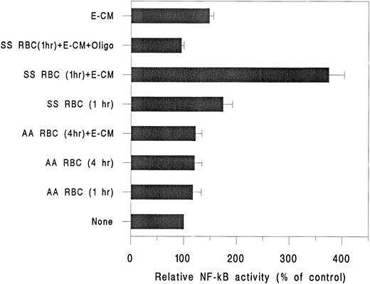 Fig. 2. Relative NF-kB activation in HUVEC in response to interaction of RBC. HUVEC were incubated with either AA RBC (n = 3; two different donors ) for 1 hour and 4 hours or with SS RBC (n = 4; three different donors and one replicate) for 1 hour in the absence and presence of E-CM. Nuclear extracts were probed for NF-kB activity. The NF-kB activity in the gel (not shown) was quantified by densitometric scan of the autoradiograph by Alpha Image 2000 Documentation and Analysis system. The data shown is relative change in NF-kB activity compared to untreated HUVEC. NF-kB activity increased to 365% ± 34% (range, 320% to 425%) on incubation of HUVEC with SS RBC and E-CM. Replicate of the same donor sample showed less than 10% variation.