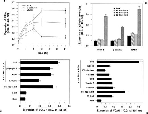 Fig. 3. Cell adhesion molecule expression in HUVEC in response to interaction with RBC. HUVEC grown to confluence in 24-well plates were incubated with RBC (2% Hct) and E-CM (100 μg/mL) for 4-hour time periods, unless otherwise indicated. ICAM-1, E-selectin, and VCAM-1 expression was determined by ELISA. (A) Time period of expression of CAMs in response to SS RBC plus E-CM; results are expressed as mean ± SD of OD at 405 nm of triplicate determinations, (n = 5; including three different donors). (B) Effect of AA RBC (n = 3), AS RBC (n = 3), and SS RBC (n = 6; including four different donors) on CAMs expression at 4 hours. (C) HUVEC were preincubated for 30 minutes with peptides (KYRGDS, 100 μmol/L; AGDV, 100 μmol/L) and polymyxin sulfate (5 μg/mL) before incubation with SS RBC plus E-CM or E-CM (100 μg/mL) alone for 4 hours. Incubation with LPS (100 ng/mL) was performed for 4 hours. (D) HUVEC were preincubated for 30 minutes with inhibitors (Probucol, 50 μmol/L; vitamin E, 25 μmol/L; SOD, (200 U/mL); catalase, (200 U/mL); GSH-EE, 0.5 mmol/L; and BSO (100 μmol/L) before incubation with SS RBC for 4 hours, followed by measurement of VCAM-1 expression.