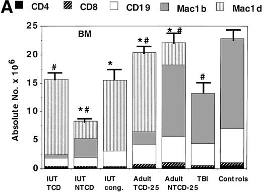 Fig. 2. Assessment of alloengraftment in central (BM, thymus) and peripheral (spleen) lymphohematopoietic compartments. BM (A), thymus (B), and spleen (C) was obtained from 4- to 6-month-old chimeras (n = 5 to 6 mice/group) and analyzed for the presence of donor cells. In BM and spleen, the number of donor CD4+, CD8+, CD19+ B cells, donor Mac1+(Mac1b), and host Mac1+ (Mac1d) cells were quantified. The thymus was analyzed for T-cell differentiation consisting of immature CD4−8−, intermediate CD4+8+, and mature CD4+8− or CD4−8+ cells. The absolute number of cells is shown on the y-axis. One standard error of the mean values for absolute cell number are designated by bars. *Significant differences between IUT TCD recipients and other groups. #Significant differences between the indicated groups and the non-BMT B6 control mice.