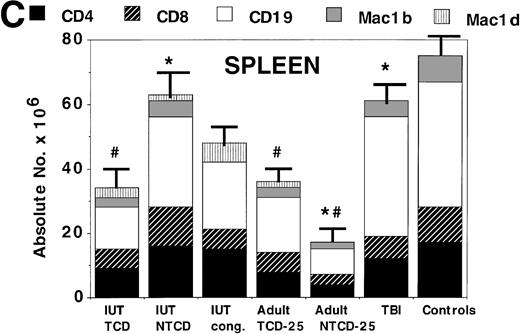 Fig. 2. Assessment of alloengraftment in central (BM, thymus) and peripheral (spleen) lymphohematopoietic compartments. BM (A), thymus (B), and spleen (C) was obtained from 4- to 6-month-old chimeras (n = 5 to 6 mice/group) and analyzed for the presence of donor cells. In BM and spleen, the number of donor CD4+, CD8+, CD19+ B cells, donor Mac1+(Mac1b), and host Mac1+ (Mac1d) cells were quantified. The thymus was analyzed for T-cell differentiation consisting of immature CD4−8−, intermediate CD4+8+, and mature CD4+8− or CD4−8+ cells. The absolute number of cells is shown on the y-axis. One standard error of the mean values for absolute cell number are designated by bars. *Significant differences between IUT TCD recipients and other groups. #Significant differences between the indicated groups and the non-BMT B6 control mice.