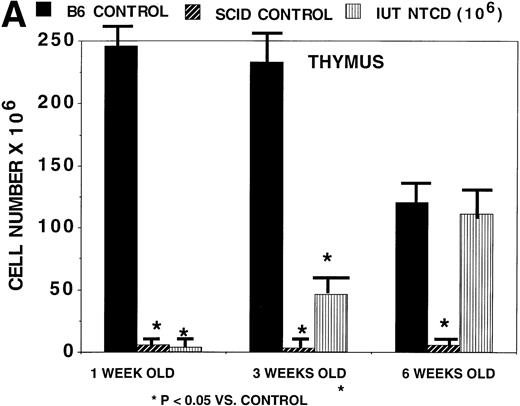 Fig. 3. Rapidity of thymic and splenic reconstitution in SCID recipients treated via IUT. BALB/c-SCID fetal recipients received 106 B6 TCD BM cells on day 15 to 16 of gestation. Controls consisted of noninjected BALB/c-SCID and noninjected BALB/c wild-type mice. At the indicated times postnatally, 4 to 8 mice were studied for thymic (A) and splenic (B) cellularity. *Significant differences in cellularity as compared with normal age-matched B6 controls. The absolute cell number is listed on the y-axis. The bars designate one standard error of the mean.