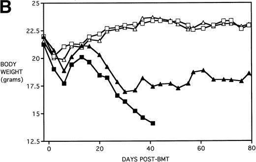 Fig. 3. Amelioration of mortality (A) and weight loss (B) by KGF after allogeneic BMT with a uniformly 100% lethal dose of allogeneic spleen cells. B10.BR recipient mice (n = 26/group) were lethally irradiated (7.5 Gy) on day −1 and infused on day 0 with C57BL/6 BM either without (BM) or with 15 × 106 spleen cells (BMS) as indicated. Groups were further segregated into those receiving PBS or KGF (5 mg/kg/d) on days −6, −5, and −4 pre-BMT. Data compiled from two representative experiments are shown. For (A), (□) BM ± KGF, (▪) BMS + PBS, and (▴) BMS + KGF. For (B), (□) BM + PBS, (▵) BM + KGF, (▪) BMS + PBS, and (▴) BMS + KGF.