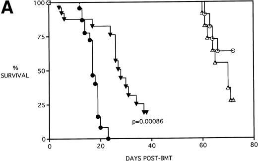 Fig. 4. KGF delays the Cytoxan-induced acceleration of mortality (A) and weight loss (B). B10.BR recipient mice (n = 26/group) were lethally irradiated (7.5 Gy) on day −1 and infused on day 0 with C57BL/6 BM either without (BM) or with 15 × 106 spleen cells (BMS) as indicated. Groups treated with Cy received 120 mg/kg/d on days −3 and −2. Groups were further segregated into those receiving PBS or KGF (5 mg/kg/d) on days −6, −5, and −4 pre-BMT. Data compiled from two representative experiments are shown. For (A), (○) BM + CY + PBS, (▵) BM + CY + KGF, (•) BMS + CY + PBS, and (▾) BMS + CY + KGF. For (B), (○) BM + CY + PBS, (▵) BM + CY + KGF, (•) BMS + CY + PBS, and (▾) BMS + CY + KGF. *P < .05 versus no KGF.