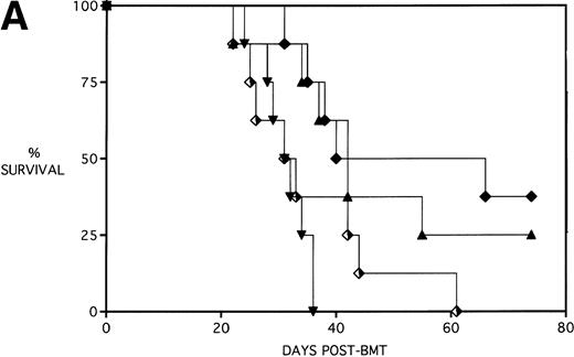 Fig. 5. Effect of additional post-BMT KGF administration on mortality (A) and weight loss (B) after allogeneic BMT with a uniformly 100% lethal dose of allogeneic spleen cells. B10.BR recipient mice (n = 8/group) were lethally irradiated (7.5 Gy) on day −1 and infused on day 0 with C57BL/6 BM with 15 × 106 spleen cells (BMS). Groups treated with Cy received 120 mg/kg/d on days −3 and −2. Groups were further segregated into those receiving KGF (5 mg/kg/d) on days −6, −5, and −4 pre-BMT (KGFpre) or those receiving KGF on days −6, −5, and −4 pre-BMT and days 1, 2, and 3 post-BMT (KGFpre&post). In (A), P = .32 and .19 comparing KGF schedules for TBI groups and Cy/TBI groups, respectively. In (B), for BMS + KGFpre versus BMS + KGFpre&post, .05 < P < .1 ( ^) and .01 < P < .05 (*). (▴) BMS + KGFpre, (⧫) BMS + KGFpre and post, (▾) BMS + CY + KGFpre, and (⬗) BMS + CY + KGFpre and post.