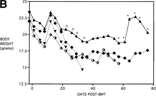 Fig. 5. Effect of additional post-BMT KGF administration on mortality (A) and weight loss (B) after allogeneic BMT with a uniformly 100% lethal dose of allogeneic spleen cells. B10.BR recipient mice (n = 8/group) were lethally irradiated (7.5 Gy) on day −1 and infused on day 0 with C57BL/6 BM with 15 × 106 spleen cells (BMS). Groups treated with Cy received 120 mg/kg/d on days −3 and −2. Groups were further segregated into those receiving KGF (5 mg/kg/d) on days −6, −5, and −4 pre-BMT (KGFpre) or those receiving KGF on days −6, −5, and −4 pre-BMT and days 1, 2, and 3 post-BMT (KGFpre&post). In (A), P = .32 and .19 comparing KGF schedules for TBI groups and Cy/TBI groups, respectively. In (B), for BMS + KGFpre versus BMS + KGFpre&post, .05 < P < .1 ( ^) and .01 < P < .05 (*). (▴) BMS + KGFpre, (⧫) BMS + KGFpre and post, (▾) BMS + CY + KGFpre, and (⬗) BMS + CY + KGFpre and post.