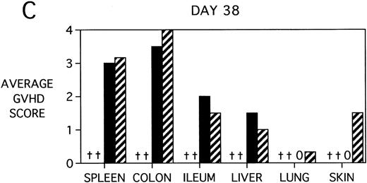 Fig. 7. GVHD scores in target organs of B10.BR recipients pretreated with PBS or KGF on days −6, −5, and −4 pre-BMT, conditioned with Cy/TBI (days −3, −2, and −1) or TBI alone (day −1), and transplanted with C57BL/6 BM with 15 × 106spleen cells. Scores are averages of 3 mice/group on days 5, 14, and 38 post-BMT. (†) indicates that all mice in the group had died by this time point. (0) indicates that all mice in the group exhibited normal histological appearance of the target organ. (▧) BMS + PBS, (▨) BMS + CY + PBS, (▪) BMS + KGF, (▨) BMS + CY + KGF.