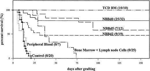 Fig. 1. In vivo survival of lethally irradiated (DBA/2 × B10.D2)F1 mice either receiving no cells (control, ▴) or grafted with B10.D2 cells from adult PB (···), TCD BM (–··–), BM, and lymph nodes (–·–) or NBB collected on days 0 (––), 2 (– –), and 5 (— —) after birth. Mortality was recorded daily and mice were examined for the presence of clinical GVHD (number of live mice/total number of mice).