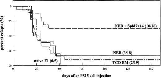 Fig. 4. Percent mortality by tumor relapse of lethally irradiated (DBA/2 × B10.D2)F1 mice grafted with B10.D2 cells from day-0 NBB either alone (––) or mixed with splenocytes (NBB+Spl, – –) or from TCD BM (–··–) alone. Naive F1 mice served as controls (–·–). All recipient mice were injected intravenously with 103 P815 tumor cells 2 to 3 months after grafting. Mortality was recorded daily and mice were examined for the presence of tumor metastasis (number of live mice/total number of mice).