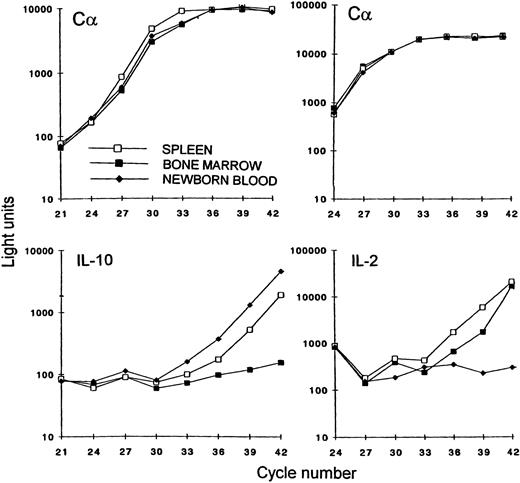 Fig. 6. Quantitation of C, IL-2, and IL-10 mRNA by RT-PCR amplification. At sequential cycle numbers, cDNA PCR samples synthesized from mRNA, prepared from adult spleen (□), adult BM (▪), and NBB (⧫). Con A-stimulated cells were collected and transferred onto avidin-coated microtiter plates. Quantitation of the amplified products was performed in a liquid-hybridization–ELISA assay with luminometry readings.