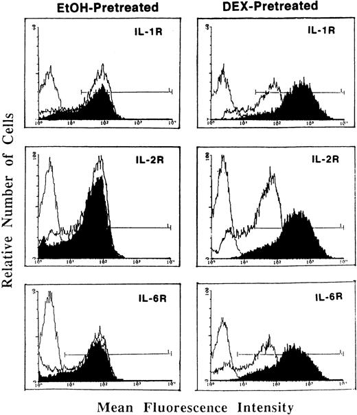 Fig. 1. Flow cytometric analysis of (type I) IL-1R, IL-2R (CD25), and IL-6R expression on T cells pretreated with DEX (0.1 μmol/L; right panels) or a corresponding volume of ethanol (left panels) and stimulated with PHA (5 μg/mL) + PMA (5 ng/mL; dark tracings). Light tracings represent cytokine receptor expression by PHA + PMA-stimulated cells; the first (light) tracing represents background fluorescence. Shown is a representative of three individually performed experiments.