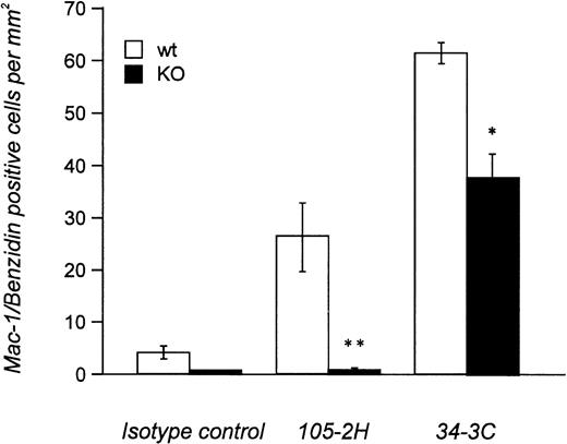 Fig. 5. Quantitative analysis of in vivo-erythrophagocytosis in the liver from anemic FcγRIII wild-type and FcγRIII KO mice. Liver sections from FcγRIII wild-type (□) and FcγRIII KO (▪) mice on day 2 after injection induced by either 105-2H or 34-3C MRBCs were processed for Mac-1 immunostaining of macrophages counterstained with benzidin for the detection of erythrocytes. The amount of Mac-1+ liver macrophages containing ingested erythrocytes per mm2 was assessed microscopically. Results are expressed as the mean values ± SEM obtained from three to five mice in each group. Significance is determined by Student’s t-test (*P < .05; **P < .001).