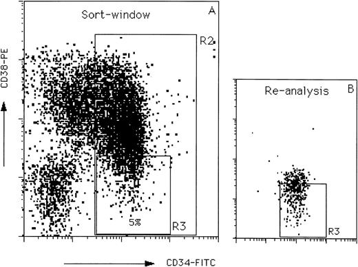 Fig. 1. Flow cytometric profile used to define and sort the CD34+CD38− cell population (A). The window R3 was used to define CD34+CD38− cells for sorting and contains 5% of the CD34+ population (as defined by window R2) with the lowest CD38 antigen expression. Re-analysis of the sorted cells is shown in (B).