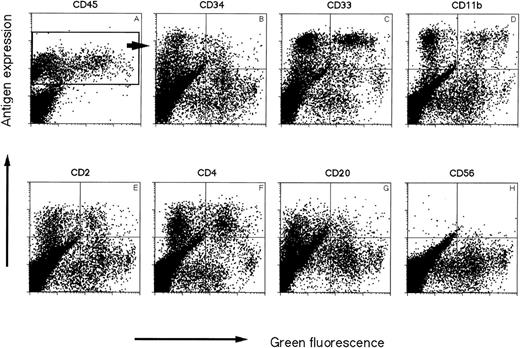 Fig. 4. Representative immunophenotyping of chimeric NOD/SCID mouse BM 35 days after transplantation of MFG-EGFP/Am12 transduced, IL-3–, IL-6–, SCF–stimulated CD34+ UCB cells. BM (>10% CD45+) was stained with a panel of antibodies specific against different human blood cell lineages and CD45 as a marker for human cells. (A) The bright green autofluorescence on the x axes versus CD45. The window represents all human CD45+cells. The other dotplots shown are gated cells in this CD45+ window representing only human cells. Representative examples are shown for EGFP versus CD34 (B), EGFP versus CD33 (C), EGFP versus CD11b, (D) EGFP versus CD2 (E), EGFP versus CD4 (F), EGFP versus CD20 (G), and EGFP versus CD56 (H).