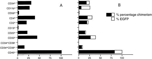 Fig. 5. Representative chimerism and EGFP expression levels in chimeric NOD/SCID mouse BM 35 days after transplantation of nontransduced (A) and transduced (B) CD34+ UCB cells, relative to the numbers of human (CD45+) cells found.
