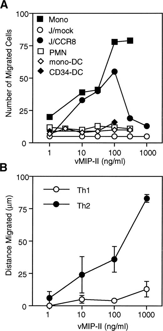 Fig. 2. Agonist activity of vMIP-II. Monocytes (mono), neutrophils (PMN), monocyte- and CD34-derived dendritic cells (mono-DC and CD34-DC, respectively) and Jurkat (J) cells (A) or Th1 and Th2 cultures (B) were tested for their ability to migrate in response to different concentrations of vMIP-II. (C) Northern blot analysis of CCR8 in Th1, Th2, Tc1 (Th1 CD8+), and Tc2 (Th2 CD8+) cultures.