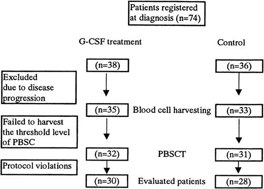Fig. 1. Schema of patient registration.