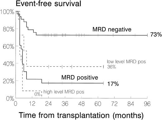 Fig. 1. Kaplan-Meier plots comparing event-free survival of patients with positive MRD (n = 23), divided into high level (n = 12) and low level (n = 11), and negative MRD (n = 33), but excluding those who had relapsed in an isolated extramedullary site before BMT. Two-year EFS is given for each MRD category at the end of each curve.