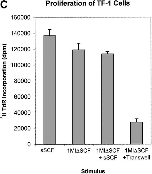 Fig. 3. (A) Expression of SCF mRNA by retroviral producer cells. 1MI cells transfected with the plasmid pREP8▵SCF were selected in histidinol and individual clones isolated. RNA was extracted from four independently isolated clones and analyzed by Northern blot. The blot was hybridized to an SCF cDNA probe. Lane C, pREP8▵SCF plasmid DNA digested with BamH1 and HindIII to release the SCF cDNA fragment; lanes 1 through 4, four independent clones of transfected 1MI cells. (B) Retroviral titer of fibroblast clones isolated following transfection with pREP8▵SCF. Culture supernatants were collected from four independent clones of 1MI cells following transfection with plasmid pREP8▵SCF. Twenty-five microliters (top row) or 2.5 μL (bottom row) of supernatant was spotted onto the surface of a nylon filter using a dot blot manifold and hybridized with a probe for p47phox. Lanes 1 through 4, supernatants from four independently isolated clones; (+), retroviral genomic DNA plasmid containing p47phox cDNA ; (−) , wild-type retroviral genomic DNA plasmid. (C) Proliferation assay on TF-cells. Biological activity of the membrane-bound growth factor on the surface of the 1MI-▵SCF cell line was assayed by 3H thymidine incorporation into quiescent TF-1 cells. sSCF, TF-1 cells stimulated with 50 ng/mL recombinant human SCF; 1MI-▵SCF, TF-1 cells cocultured for 24 hours with the 1MI-▵SCF cell line; 1MI-▵SCF + sSCF, TF-1 cells cocultured for 24 hours with the 1MI-▵SCF cell line and 50 ng/mL recombinant human SCF; 1MI-▵SCF + Transwell, TF-1 cells cocultured for 24 hours with the 1MI-▵SCF cell line, where the TF-1 cells were suspended in a Transwell. Incorporation was corrected for background values obtained with unstimulated TF-cells and 1MI-▵SCF cells, as appropriate.