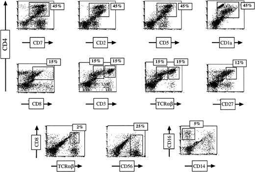 Fig. 1. CD34+ cord blood cells in FTOC acquire a T-cell immunophenotype in the continuous presence of SCF, Flt-3L, IL-7, IL-1, and IL-15. CD34+ cells were sorted and cultured in fetal thymic lobes with the cytokines for 35 days. FTOC were then harvested, and T-cell differentiation was assessed by flow cytometric analysis using the indicated antibodies.