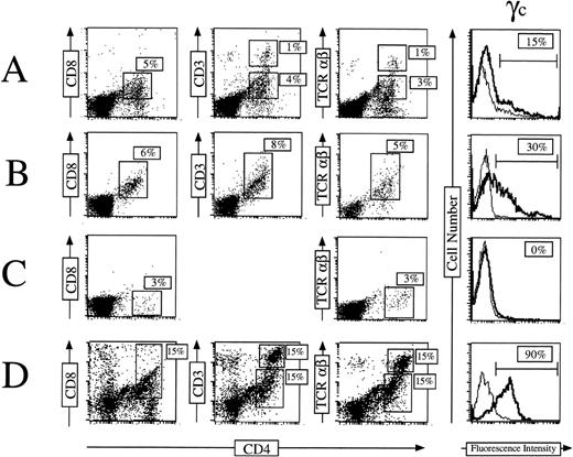 Fig. 3. γc gene transfer restores T-cell differentiation of CD34+ SCID-Xl patients’ cells in FTOC. CD34+ γc transduced S1 (A), S2 (B) cells as well as untransduced CD34+ S1 cells (C) were cultured with the preestablished combination of cytokines (SCF, Flt-3L, IL-7, IL-1, IL-15) into fetal thymic lobes for 35 days. FTOC were harvested and cells were stained for expression of CD4, CD8, CD3, and TCRβ (dot plots) or for γc expression (histograms). T-cell differentiation obtained from CD34+ normal CB cells is indicated on panel (D) as a control.