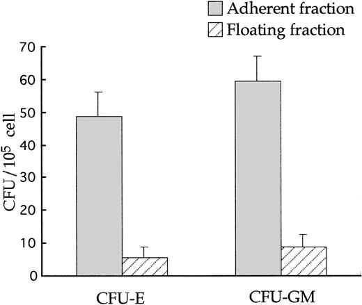 Fig. 2. Adherent fraction contains more progenitors than does the floating fraction. Numbers of CFU-E and CFU-GM in the day 11 culture are shown. Gray bar and hatched bar show numbers of hematopoietic colonies in the adherent and floating fractions, respectively.