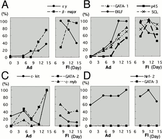 Fig. 3. Expression profiles of erythroid transcription factors in the OP9/ES cell differentiation system. Adherent and floating fractions were collected at time points indicated from the in vitro ES cell culture system. Concentrations of all the prepared cDNAs were adjusted to produce equal amounts of HPRT amplicon. Expression levels of mRNA encoding ɛy- and β-major globins were first measured by RT-PCR (A). The expression profiles of erythroid transcription factors during the differentiation of ES cells were then examined. The expression profiles are categorized into three groups. The first group includes GATA-1, p45, EKLF, and SCL (B); the second group consists of GATA-2 and c-myb (C); and the third group includes Nrf2 and GATA-3 (D). Each group is shown as a pair of boxes; the left box represents the adherent fraction and the right box represents the floating fraction. Highest expression for each factors is set to 100%.
