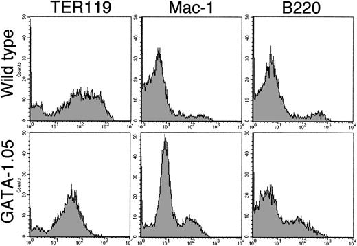 Fig. 5. FACS analysis of the lineage-specific surface antigens. Cells of day 14 floating fraction from both wild-type andGATA-1.05 mutant ES cells were analyzed with FACS using three surface antigens as indicated in the figure. Note that, whereas the wild-type floating cells showed 102 to 103fluorescence intensity range for TER119 antigen, the mutant floating cells did not show such strong intensity. Upper three histograms show results of wild-type cells, while lower three show results ofGATA-1.05 mutant cells.