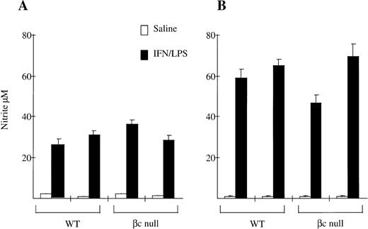 Fig. 6. Nitrite production by (A) resident peritoneal macrophages and (B) thioglycollate-elicited peritoneal macrophages from WT and βc-null mice in response to saline or IFN-γ/LPS after 48 hours of incubation. Mean of 4 to 5 wells. Error bars represent SD. Results shown are for two mice per genotype. Five experiments performed with similar results.
