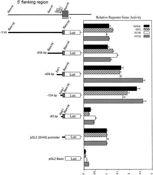 Fig. 4. Promoter-reporter activity of sequential 5′ deletion constructs. Promoter activity of all promoter constructs (diagrammed at left) was compared with that of pGL2:SV40 promoter with transient transfection of the constructs into H526, H146, HEL, and Jurkat cell lines. Cotransfection with pCMV βgal plasmid was used to control for transfection efficiency. After a 24-hour incubation, cell extracts were assayed, normalized for transfection efficiency, and relative reporter activity was determined. Error bars indicate standard error (SE) calculated from at least six separate electroporations. All activity values are relative to the pGL2:SV40 promoter, which was assigned a value of 1.0. Relative reporter gene activity was calculated as follows: luciferase activity divided by β-galactosidase activity, divided by the ratio obtained for the pGL2:SV40 promoter construct.