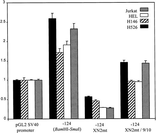 Fig. 10. Functional analysis of −93/−84 binding site. Reporter assays were performed as in Fig 4. A construct containing a 2-bp mutation of the −93/−84 Sp1 (GGGGCGTGGC > GGTTCGTGGC) site, −124 XN2mt, displayed basal reporter activity. The −124 XN2mt/9/10 construct, which has the −93/−84 Sp1 site inserted 40 bp upstream in the −124 XN2mt construct, restores reporter activity to near wild-type levels.