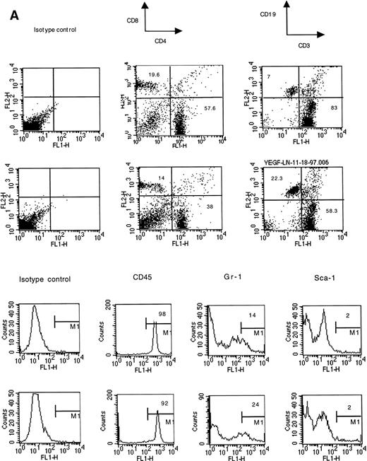 Fig. 5. Phenotype of lymph node cells in mice treated with VEGF (50 ng/h). Representative results of one of three independent experiments are shown. Two groups of mice were compared. For each cell-surface marker, the top panel is from control mice (pumps contained PBS), the bottom panel shows VEGF-treated mice. Lymph nodes from three mice in each group were pooled together for this analysis.