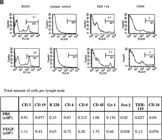 Fig. 5. Phenotype of lymph node cells in mice treated with VEGF (50 ng/h). Representative results of one of three independent experiments are shown. Two groups of mice were compared. For each cell-surface marker, the top panel is from control mice (pumps contained PBS), the bottom panel shows VEGF-treated mice. Lymph nodes from three mice in each group were pooled together for this analysis.