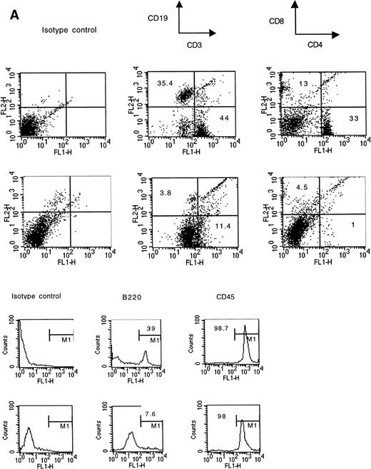Fig. 8. Phenotype of the spleen cells in VEGF-treated mice. Three experiments with the same results were performed. For each cell-surface marker: (top), control mice (pumps contained PBS); (bottom), VEGF-treated (50 ng/h) mice.