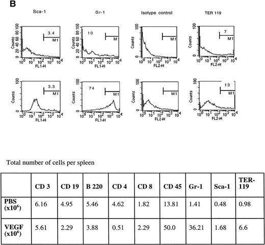 Fig. 8. Phenotype of the spleen cells in VEGF-treated mice. Three experiments with the same results were performed. For each cell-surface marker: (top), control mice (pumps contained PBS); (bottom), VEGF-treated (50 ng/h) mice.